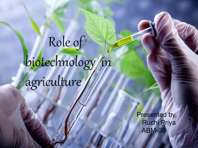 Agriculture Biotechnology in the United States